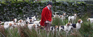 Waiting in Troutbeck